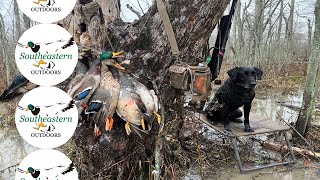 Arkansas Waterfowl Hunting - Popa Duck Lodge -  Palmer, AR  Woods - Dec 2022