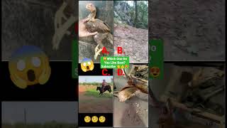 Funny Animal Videos 2023😂 - Funniest Cats and dogs Video 😺😍#shorts #animals #tiktok