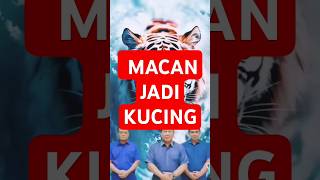 #beritaterkini #fufufafa #gibran#prabowo#jokowi#pilkadajateng2024 #andikaperkasa #macan#kucing