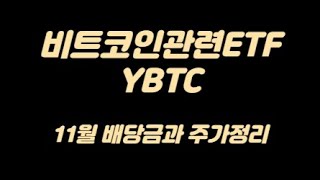 비트코인ETF YBTC 11월 배당금/배당일과 주가정리