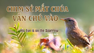 Chim Sẻ Mắt Chúa Vẫn Chú Vào |  His Eye Is on the Sparrow