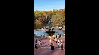 Fall in Central Park