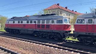 Sichtungen von Bahnhof Jungfernheide Berlin 8 / 9 Mai 2023