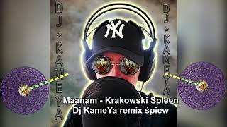 Maanam - Krakowski Spleen Dj KameYa remix śpiew 2023