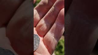 Elizabeth 1st Silver Penny: Metal Detecting Wales