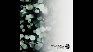 Avguchenko – Walks II (Extended)