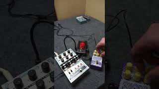 Electro Faustus Fugue State + EHX Tube Zipper