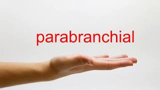 How to Pronounce parabranchial - American English