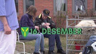 Nes julekalender - 16. Desember