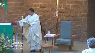 Daily Mass Live Stream - August 6, 2024: Feast of the Transfiguration of the Lord