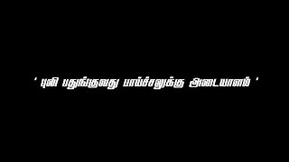 🤩Lyrics Tamizan🔥Is comeback 😶 After 5 Months 🥳😈🎉 #comeback #shorts #rolex @lyricstamizan