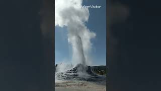 Yellowstone Castle Geyser #geyser #hiking #shorts #outdoorvector