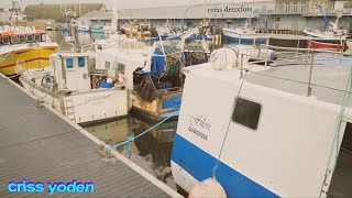 Chalutier ; Fileyeur ; Port de pêche ; Kéroman ; Lorient ; Quai ; Morbihan ; Bretagne Sud ; France