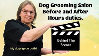 Dog Grooming salon after hours.