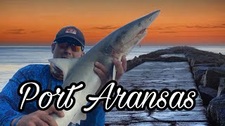 Port Aransas Jetty Fishing