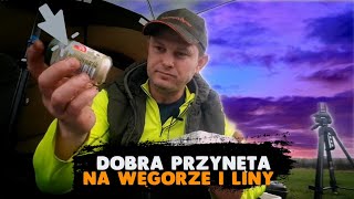 WĘGORZ I PŁOCIE NA ROBAKI Z CZOSNKIEM 100% SKUTECZNA KTÓRĄ ZROBISZ SAM ‐ Ciężkie warunki nad wodą!!!