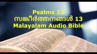 Psalms 13 (സങ്കീർത്തനങ്ങൾ 13) - Malayalam Audio Bible