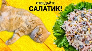 ❣️Этот салат хочется пробовать снова и снова❣️Ветчина, грибы и маслины🍽👍🏻