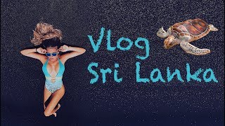 VLOG Sri Lanka. Пляж Хиккадува. Кормим ГИГАНСКИХ ЧЕРЕПАХ. Едем в центр островаю