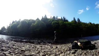 Trout 'N' About :Stunning Perthshire