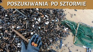 Poszukiwania bursztynu po sztormie - poławianie bursztynu - Wyspa Sobieszewska