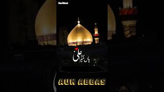 Share Jo Maula Ali as ka Nahin | جو مولا علیؑ کا نہیں | #aunabbas #share #shots 🌹🍂