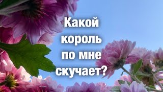 4 королевы❤️какой король по мне скучает, что чувствует и что будет делать?