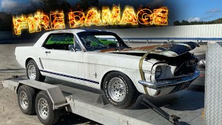 I Bought a Badly Burnt 1965 Ford Mustang ! ( Can We Save It?)