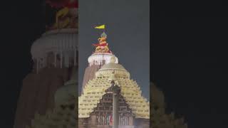 Jai Jagannath Mandir | Puri | Kala Saante Achha Kemante | Wildgrass Entertainment | Shorts