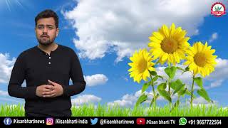 सूरजमुखी की खेती || All You Need To Know About Sunflower Farming (सूरजमुखी की उन्नत खेती)