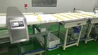 Wide Conveyor Type Food Metal Detector For Bakery Products Cakes Biscuits Production Line