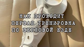 Как проходит первая тренировка. Верховая езда