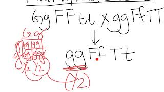 Biol 360 multigene tutorial