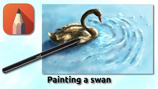 How to paint a black swan with Autodesk Sketchbook - time lapse