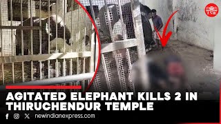 Elephant kills mahout and his relative in Tiruchendur temple | TN