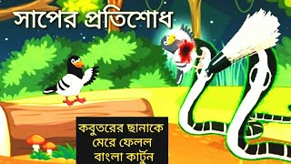 কবুতর ও সাপের-☆ শত্রুতা।। কবুতরের কার্টুন গল্প।। Bangla poshu pakhir cartoon-| kabutar cartoon