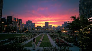 Osaka Walking at Dusk - Around Nakanoshima Park | 4K ASMR |