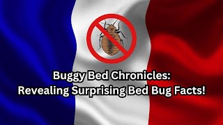 Shocking Bed Bug Facts You Never Knew