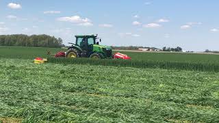 Poettinger X8 triple mower cutting wheat Lange