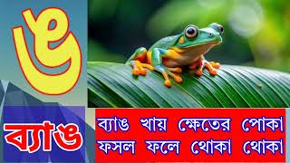 ক,খ,গ,ঘ,ঙ | ইসলামী ফাউন্ডেশন | মসজিদ ভিত্তিক শিশু ও গণশিক্ষা