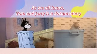 5th:It turns out that the plot in Tom and Jerry happened in real life#tomandjerry #funnyvideo