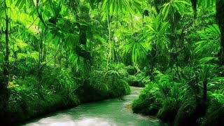 Окружающие звуки природы для релаксации и медитации 🍃 Serene SoundScape