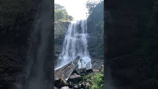 Chikmanglore Hebbe falls #hebbefalls #chikmagalur #karnataka