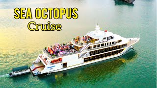 Sea Octopus Cruise Night Tour ấn tượng cho trải nghiệm VIP