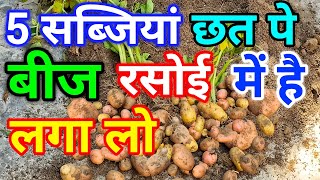 बीज रसोई मे है नवंबर मे लगा लो 6 सब्जियां छत्त पे बोरी मे / Winter Vegetables / Kitchen Gardening