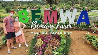 BEMWA FARM  | MOJICAN MEXICAN RESTAURANT | NOV. 2021