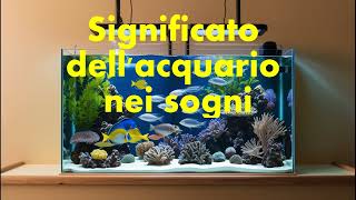 sogno di acquario / cosa significa vedere un acquario in sogno? / interpretazione / significato