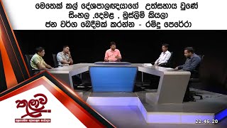 දේශපාලඥයාගේ  උත්සහාය වුණේ  සිංහල ,දෙමළ , මුස්ලිම් කියලා ජන වර්ග බෙදීමක් කරන්න - රමිදු පෙරේරා