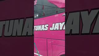 Pink #bus