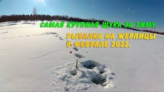 Рыбалка на жерлицы в феврале 2022. Самая крупная щука за зиму